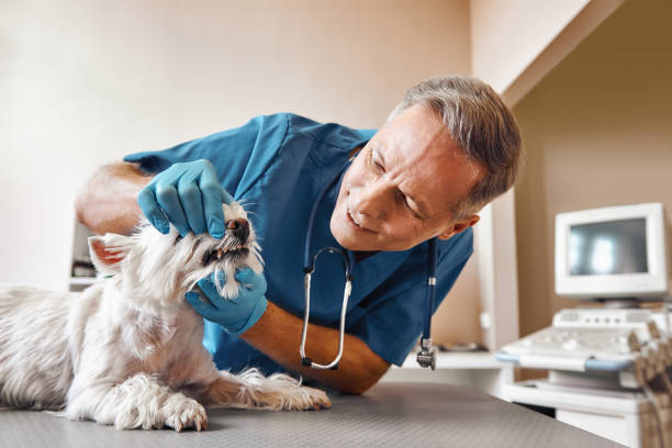 Best Urgent Dental Care in Pageland, SC
